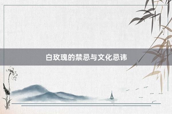 白玫瑰的禁忌与文化忌讳