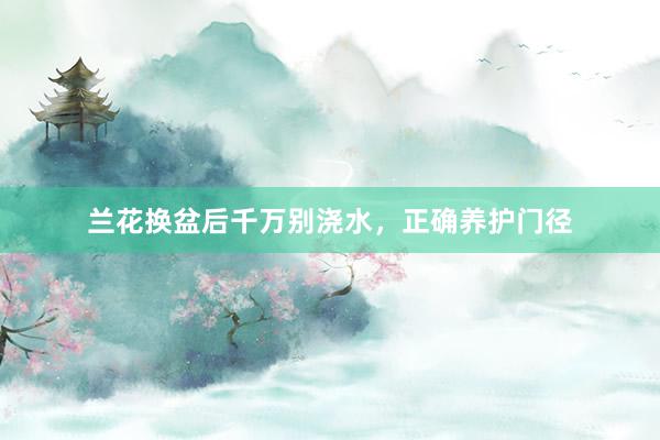 兰花换盆后千万别浇水，正确养护门径
